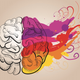 Illustration for article titled Why The Left-Brain Right-Brain Myth Will Probably Never Die